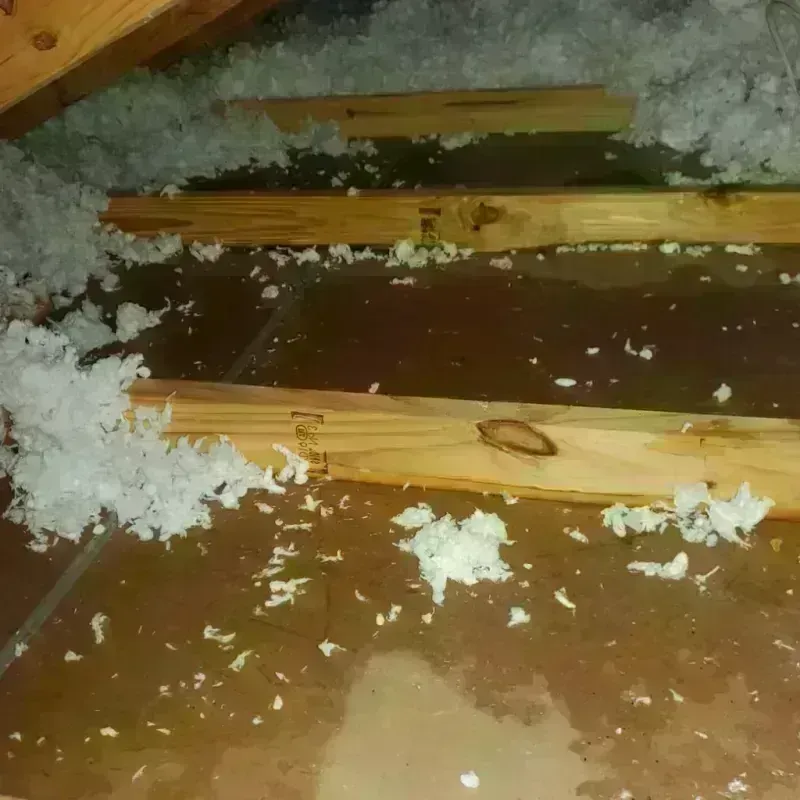 Attic Water Damage in Arlington, MN