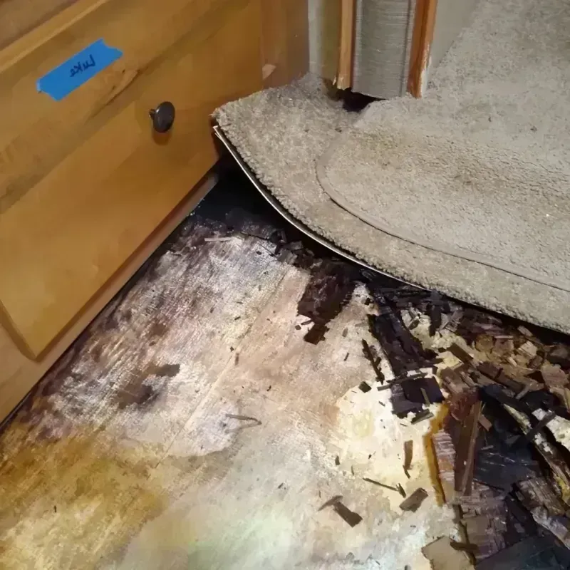 Wood Floor Water Damage in Arlington, MN